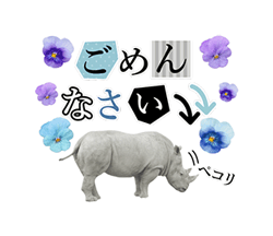 ʐ^