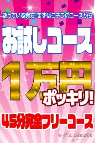 マダム茶々 ブログ
