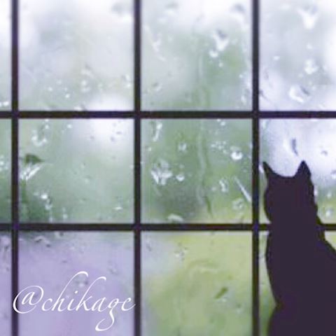 コンバンハ☔️