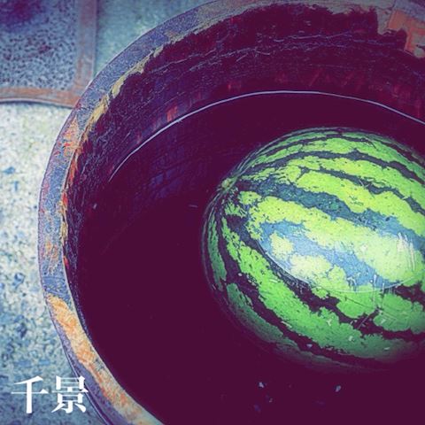 コンバンハ🐊