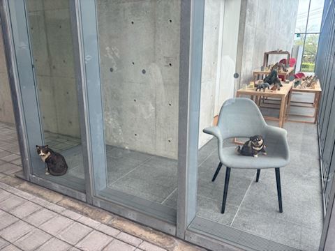 コンバンハ☔️