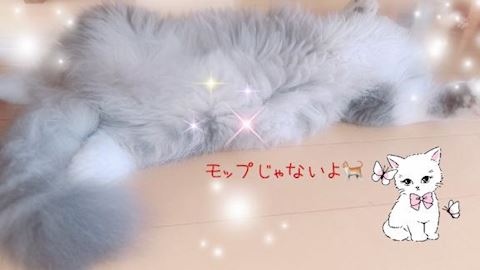 ねね【熟女コース】