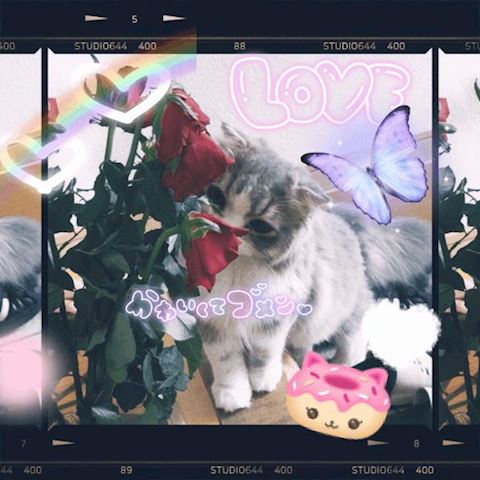 ねね【熟女コース】