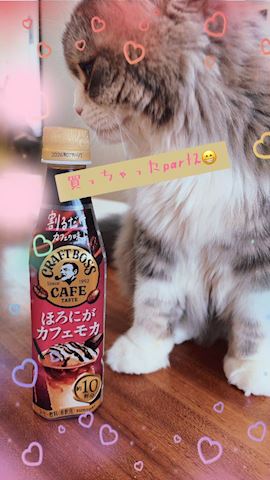 ねね【熟女コース】