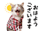 ʐ^