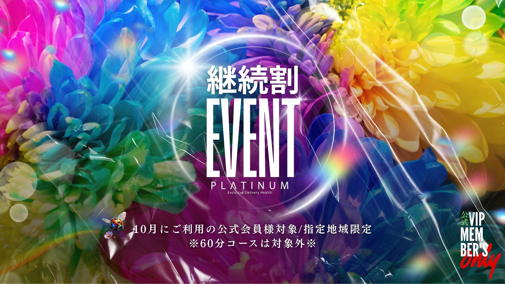 清楚系美女専門店PLATINUMプラチナム四日市店｜ヘッダー画像4枚目