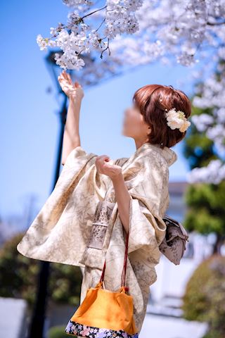 マダム茶々　ブログ