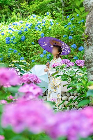 マダム茶々　ブログ