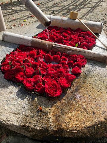 まよい【熟女コース】