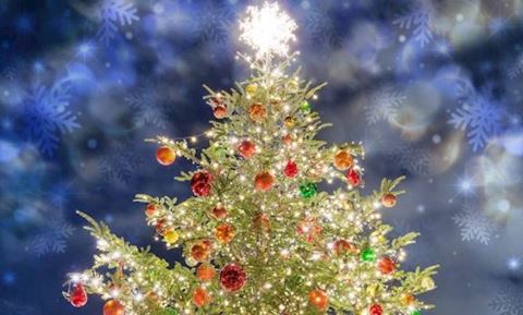 まよい【熟女コース】