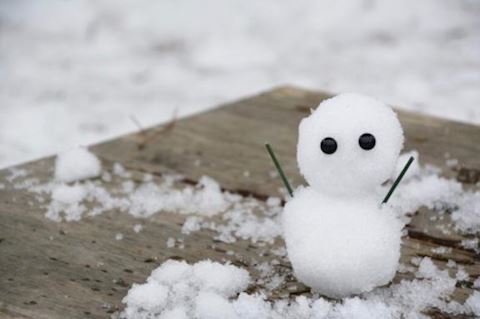 まよい【熟女コース】