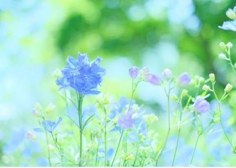 まよい【熟女コース】