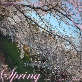 なみ【マダムコース】