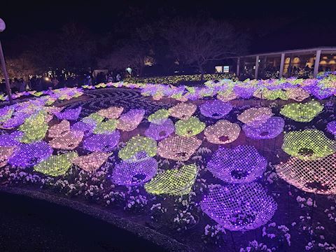 しおん【マダムコース】