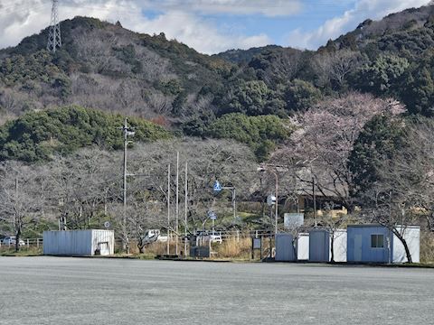 しおん【マダムコース】