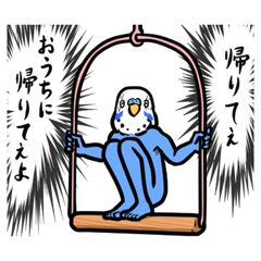 まどか【熟女コース】