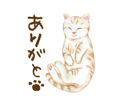 まどか【熟女コース】