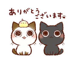 まどか【熟女コース】