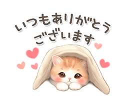 まどか【熟女コース】