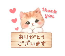 まどか【熟女コース】