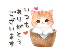 まどか【熟女コース】