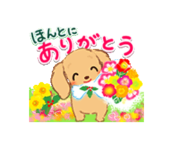まどか【熟女コース】