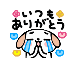 まどか【熟女コース】