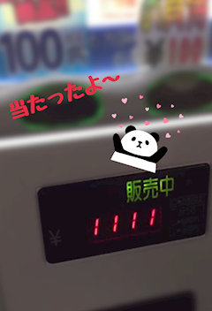 まどか【熟女コース】