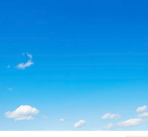 まき【マダムコース】