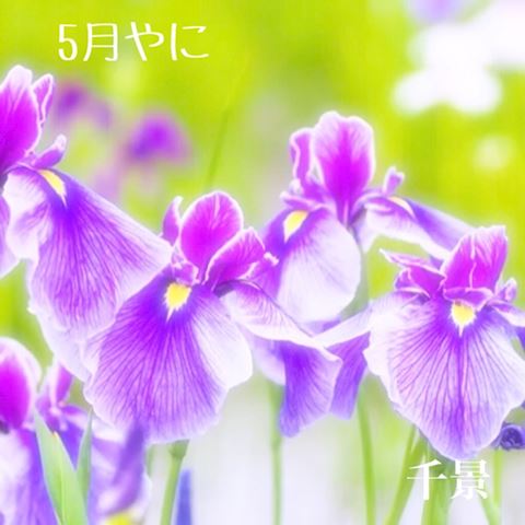 ちかげ【熟女コース】