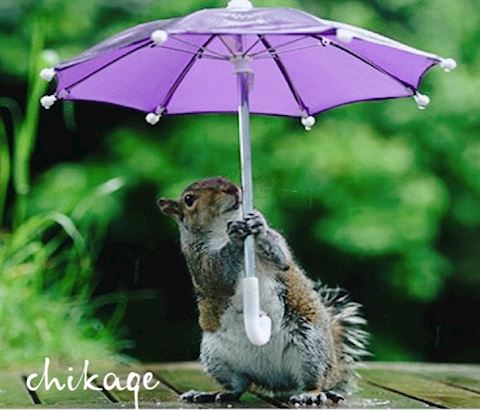 ちかげ【熟女コース】