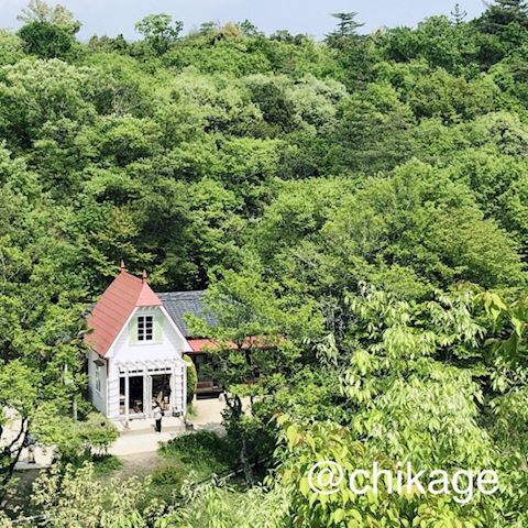 ちかげ【熟女コース】