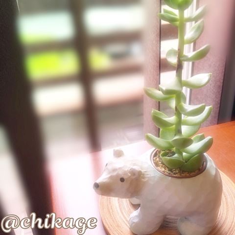 ちかげ【熟女コース】