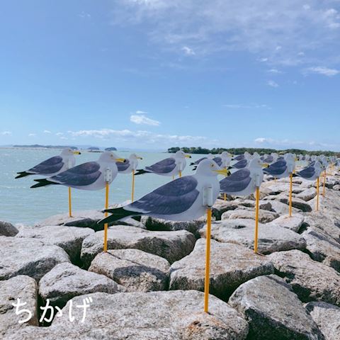 ちかげ【熟女コース】