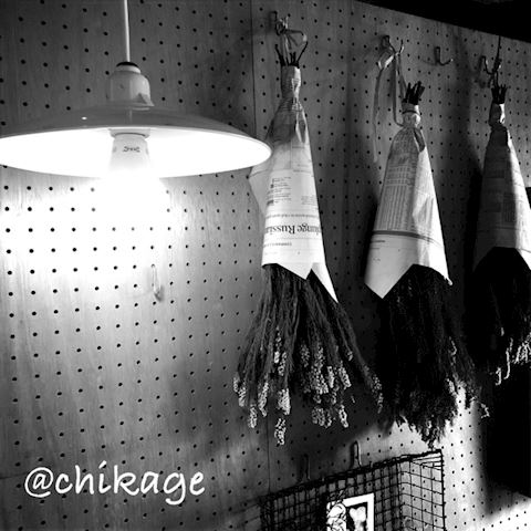 ちかげ【熟女コース】