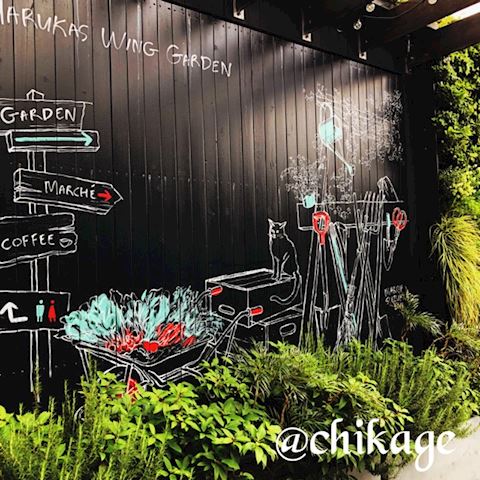 ちかげ【熟女コース】