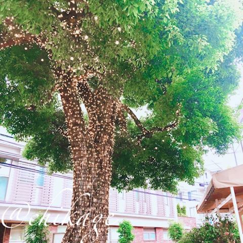 ちかげ【熟女コース】