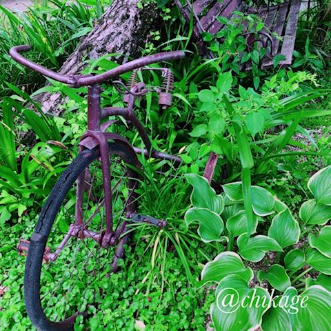 ちかげ【熟女コース】