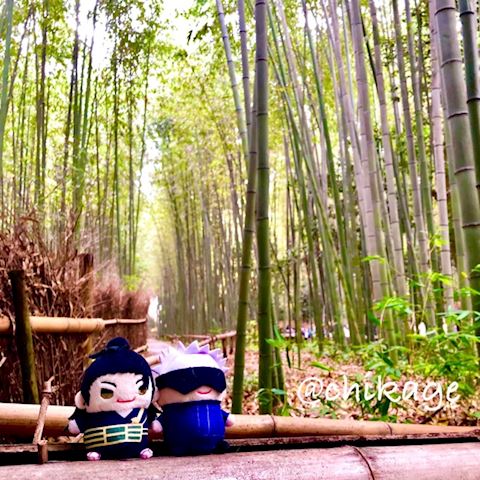 ちかげ【熟女コース】