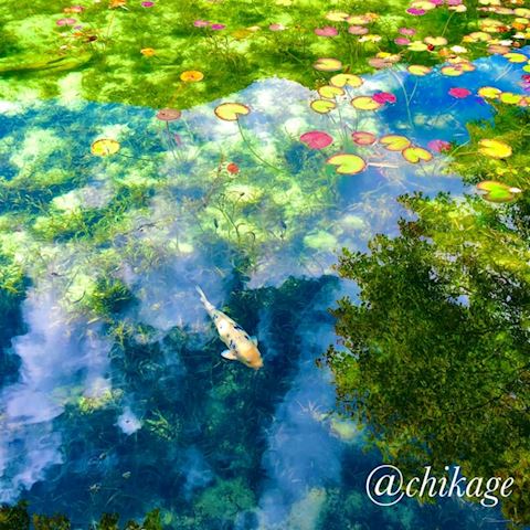 ちかげ【熟女コース】