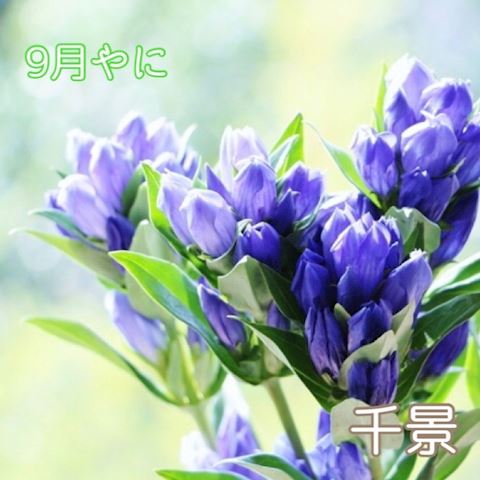 ちかげ【熟女コース】