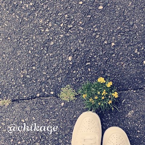 ちかげ【熟女コース】