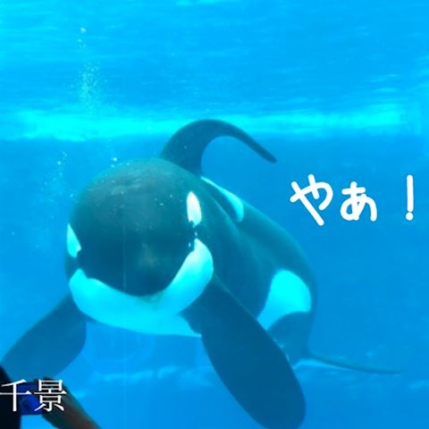 ちかげ【熟女コース】