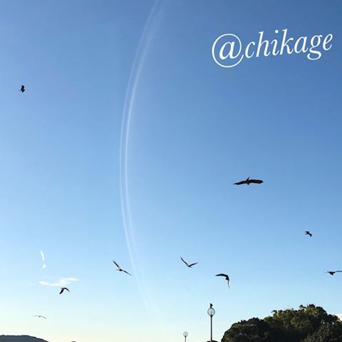 ちかげ【熟女コース】