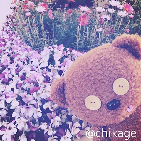 ちかげ【熟女コース】