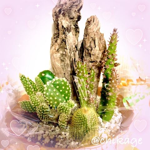 ちかげ【熟女コース】