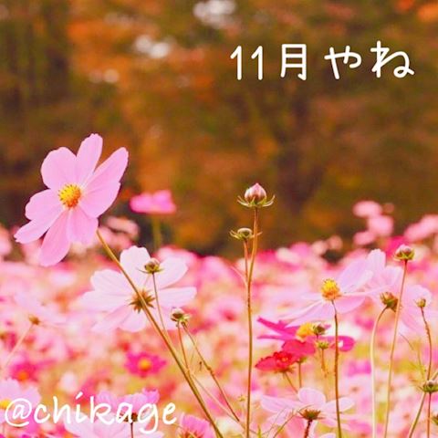 ちかげ【熟女コース】
