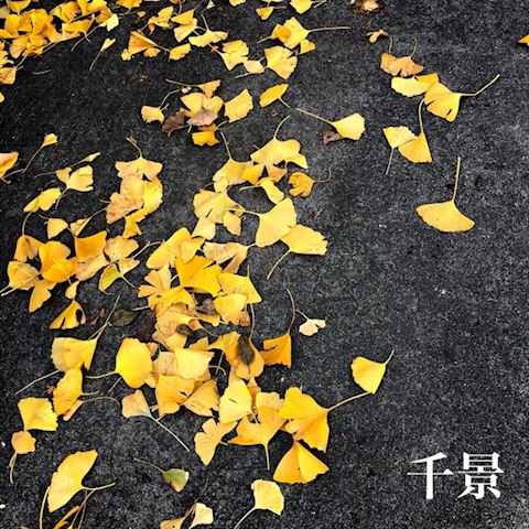 ちかげ【熟女コース】
