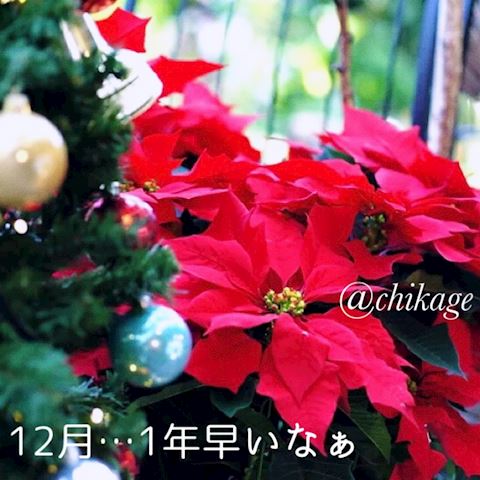 ちかげ【熟女コース】