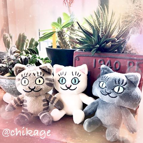 ちかげ【熟女コース】